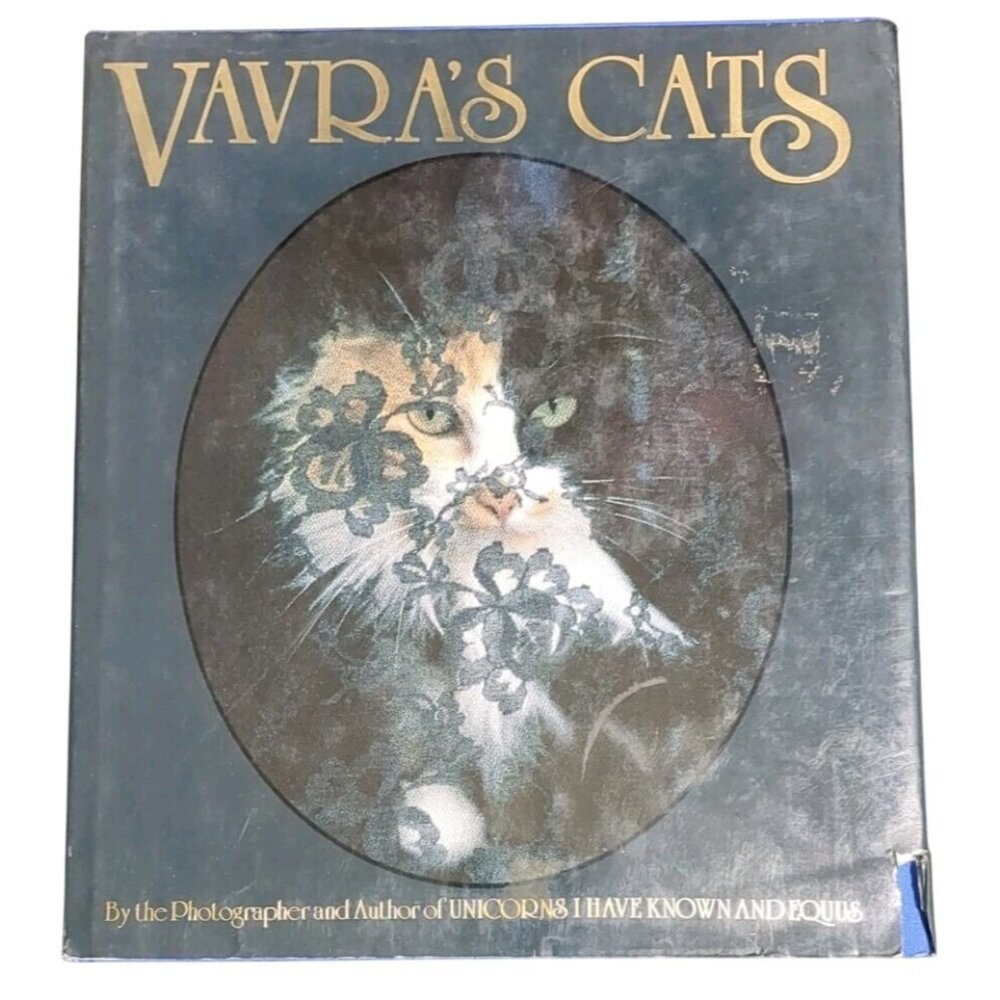 Vavras Cats by Robert Vavra Hardcover 1st Ed1996 Dust Jacket Pets kitten